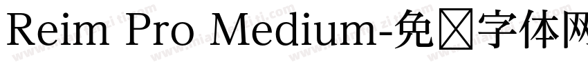 Reim Pro Medium字体转换
